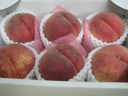 収穫の秋にもも!/