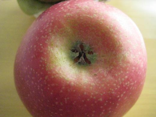 真っ赤に色付くりんご/