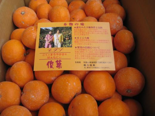 和歌山県産《越冬完熟橋爪みかん》5kg/