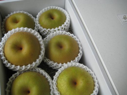 長野県産《幸水》早生梨の代表/