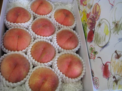 山形県天童産《川中島白桃》3kg10個入/