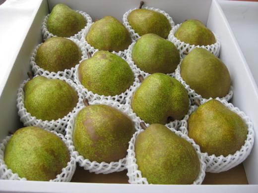 5kg/大玉14個入り/