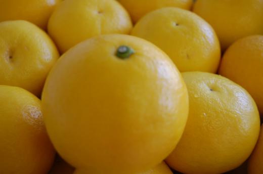 お取り寄せできます/