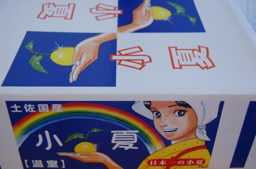 小夏ちゃん化粧箱/