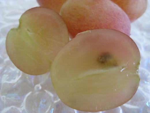 サクサク感のある歯ごたえで、上品な甘さをたのしめます。/