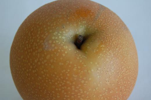 にっこり梨のあたまです/