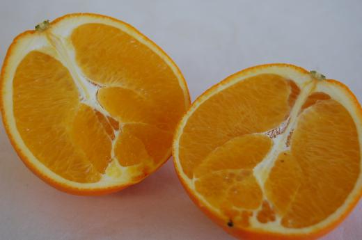 和歌山県産≪温室ネーブルオレンジ≫香り豊かなオレンジ/