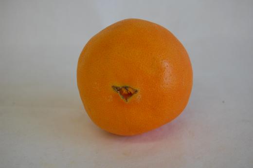 ネーブルオレンジのおしり/