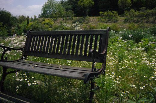 UPを宣誓してどうする?/