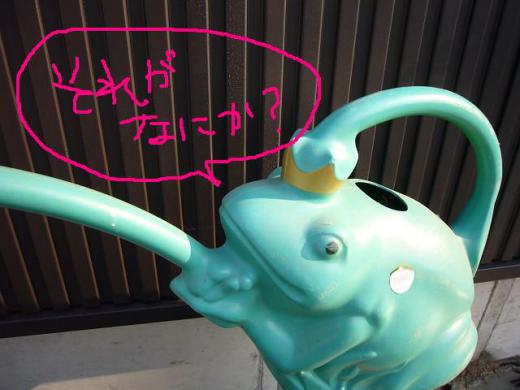 かわいいでしょ?/