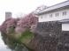 霞城の桜 2:2007/04/16 09:33