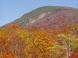 リュウキンカ広場より姥ヶ岳:2007/10/25 11:00