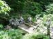 滝に挑戦 2:2008/07/17 22:34