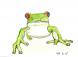 モリアオガエル 1:2009/07/16 20:44