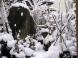 雪のある風景:2010/03/02 08:59