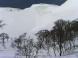 表層雪崩:2010/04/01 15:19