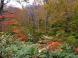 湯殿山麓の秋色:2010/10/22 09:58