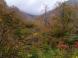 春木戸辺りの風景:2010/10/22 10:06