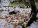 雪上模様 2:2010/10/29 21:37