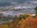 新小学校:2010/11/05 16:47