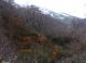 晩秋の湯殿山:2010/11/06 18:28