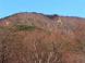半田山:2010/11/28 09:44