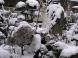 市内雪初:2010/12/25 08:09