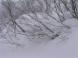 雪に埋もれる低木:2011/01/05 09:45