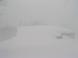 すっぽり雪の中:2011/01/20 17:15