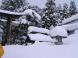 豪雪:2011/01/26 21:10