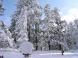 雪の華:2011/01/27 08:28