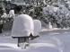 灯籠に雪が:2011/01/27 08:40