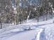 跡を追って:2011/02/02 19:13