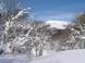 秀麗の峰月山:2011/02/03 11:24