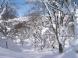 見馴れた風景:2011/02/03 14:46