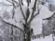 着雪:2011/02/12 09:33