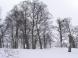 着雪無し:2011/02/12 10:04