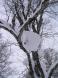 湯殿おろし:2011/02/12 13:01