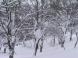 まばゆい風景:2011/02/12 13:07