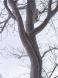 北風の脅威:2011/02/12 13:44