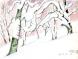 湯殿山麓のブナ林:2011/02/14 11:33
