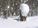 残雪時のバロメーター:2011/02/17 09:32