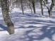 影踏みながら:2011/02/17 09:55