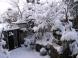 名残雪 1:2011/03/10 08:22