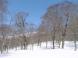大門海平から :2011/04/19 09:36