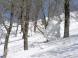 雪の固まり:2011/04/20 09:47