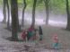 逞しい幼児達:2011/05/29 19:06