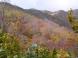 嘆願の風景:2011/10/17 16:26