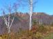 姥沢駐車場より湯殿山:2011/10/21 10:15