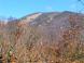 降り蹴り月山:2011/10/21 10:34